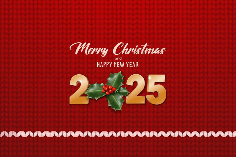 Happy Holidays 2025_副本